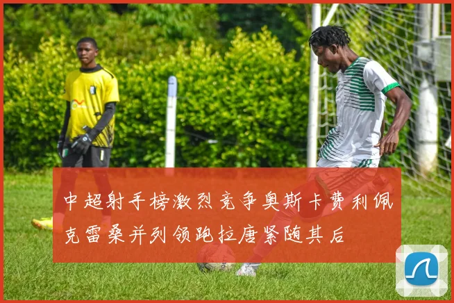中超射手榜激烈竞争奥斯卡费利佩克雷桑并列领跑拉唐紧随其后