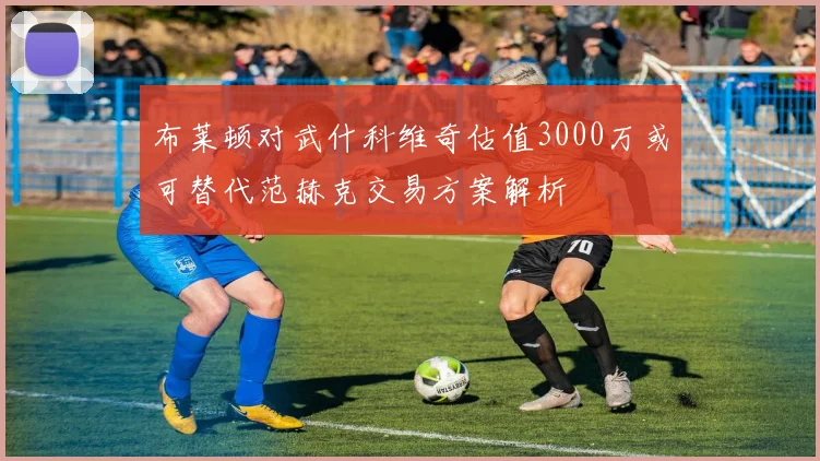 布莱顿对武什科维奇估值3000万或可替代范赫克交易方案解析
